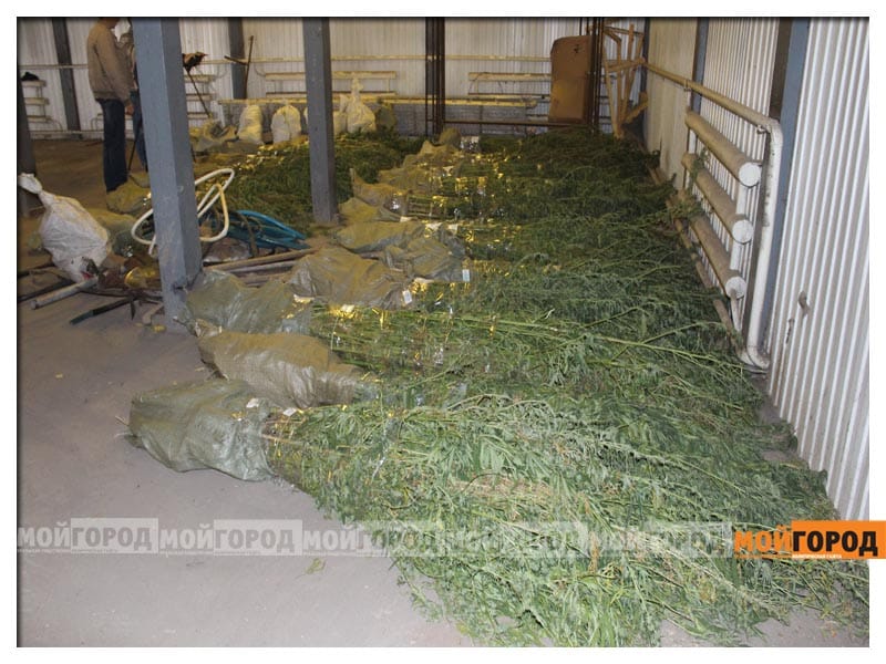 Школьник сломал ровеснику руку в Алматы