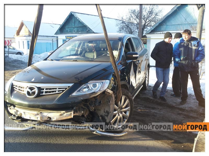 В Уральске пятый день отлавливают собаку, которая прокусила ногу девочки до кости