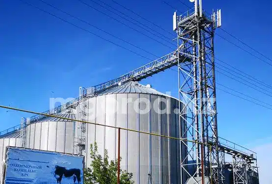 Что стало с громкими бизнес-проектами ЗКО