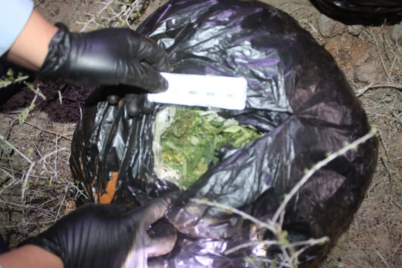 Жителя ЗКО оштрафовали за хранение дикорастущей конопли