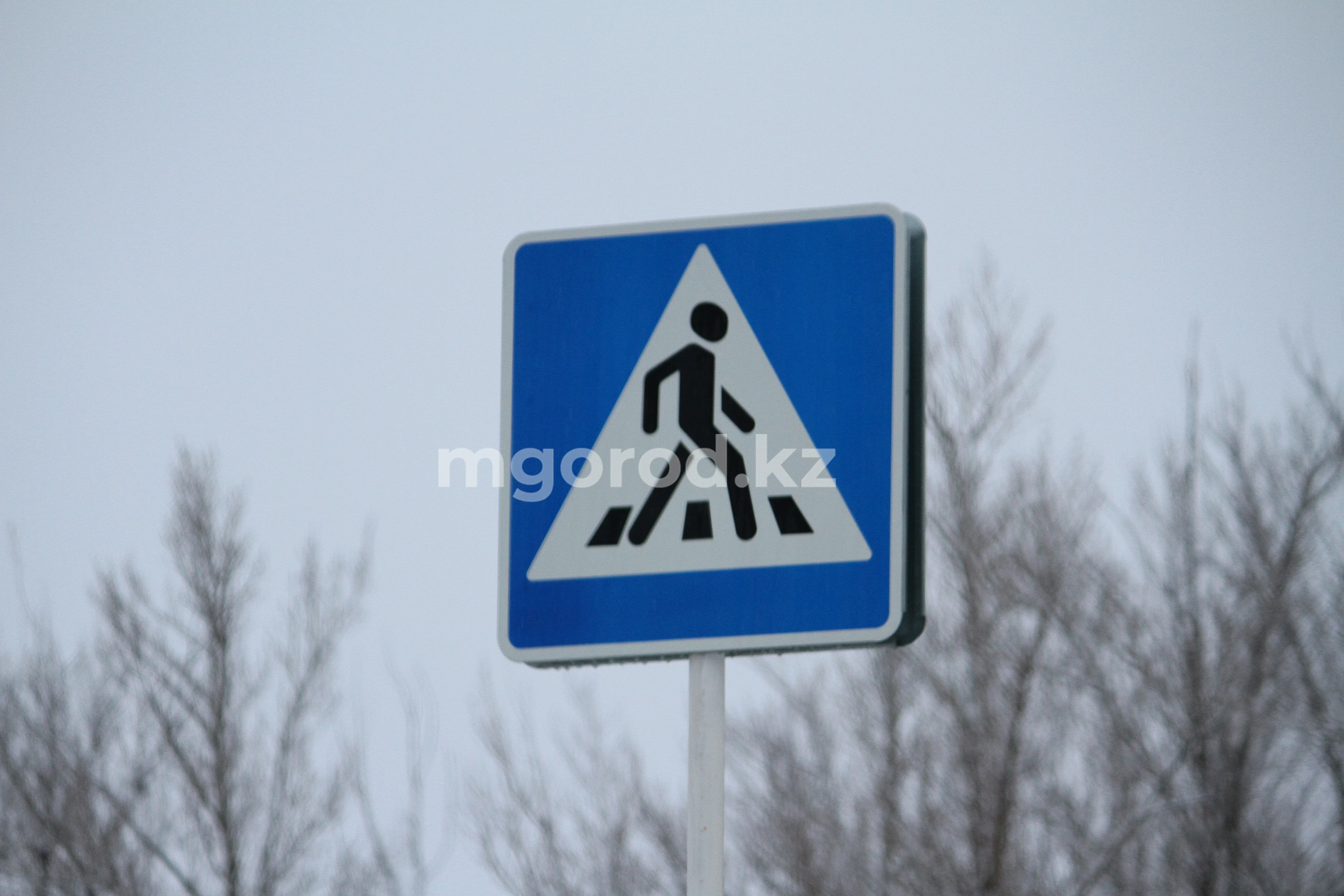 Легковушка сбила пешехода в Уральске