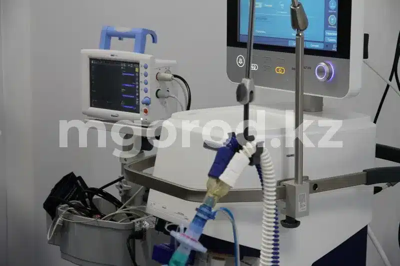 Сибирскую язву выявили в Карагандинской области. Один пациент скончался