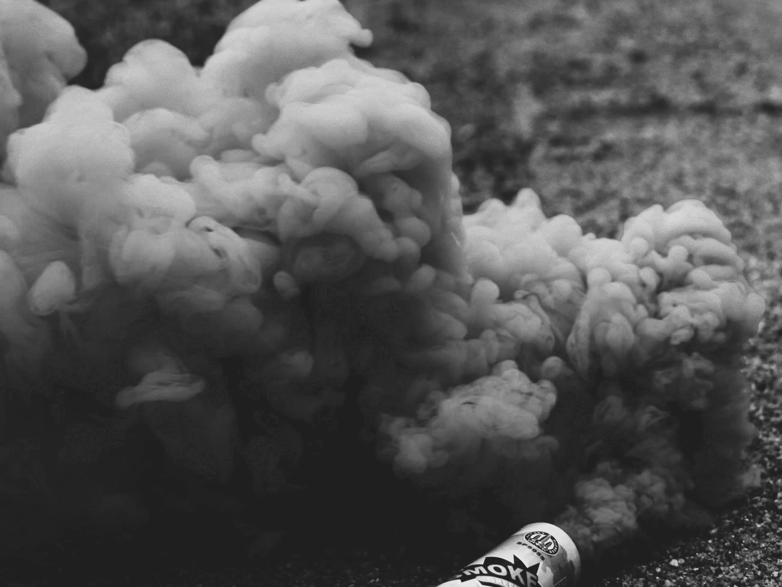 Алматинцы стали чаще вызывать специалистов для травли клопов