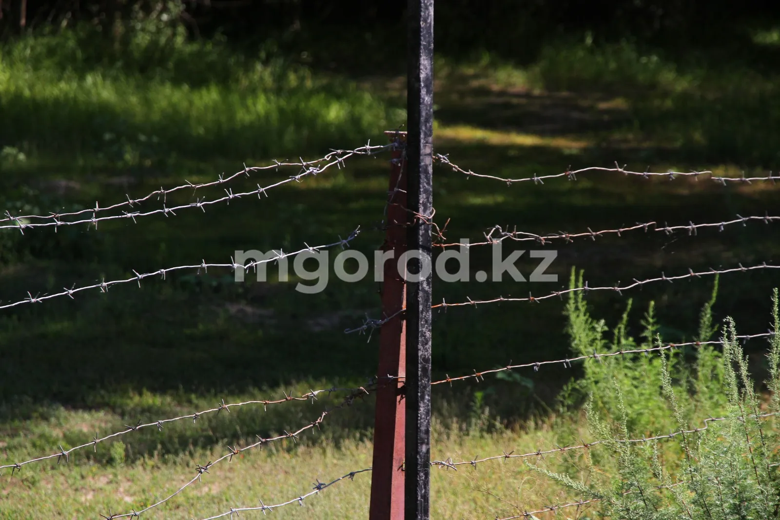 14 граждан Йемена выдворили из страны в ЗКО