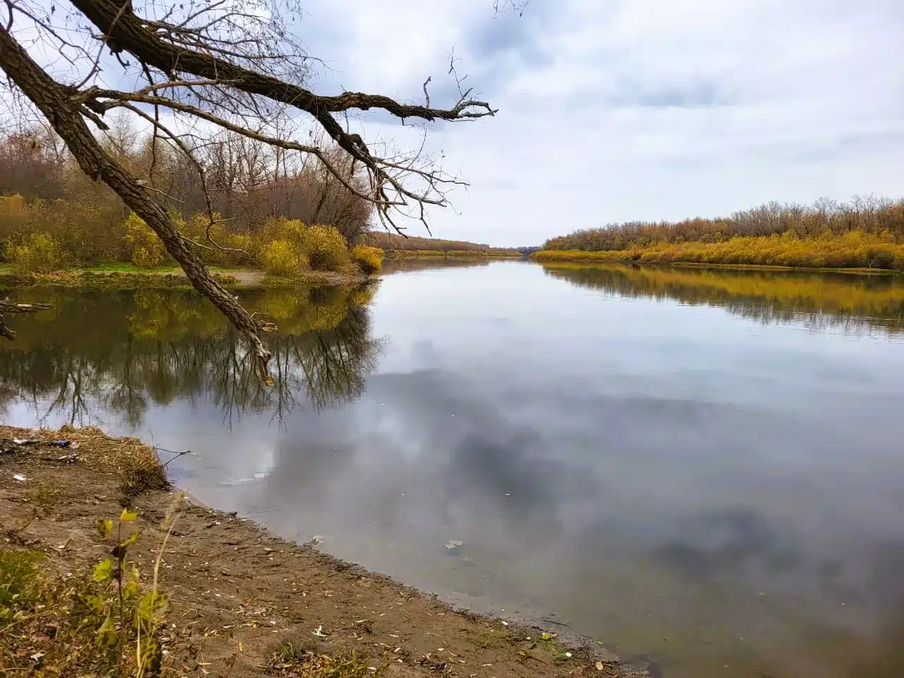 Казахстанцев предупредили о сильном ветре