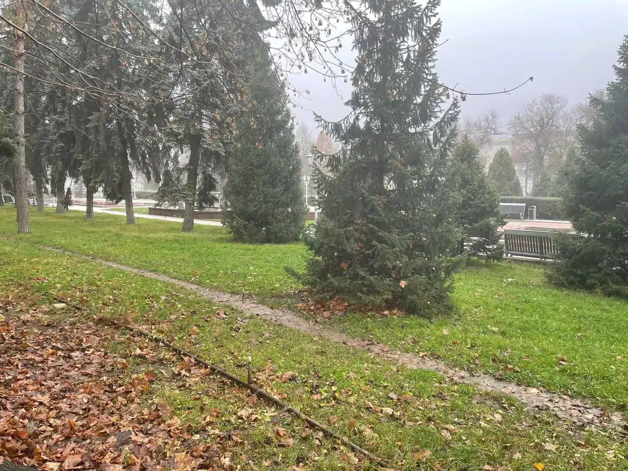 Туман и гололёд ожидаются в ЗКО