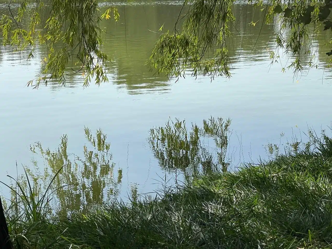 В Казахстане построят четыре новых водохранилища. Одно из них в ЗКО