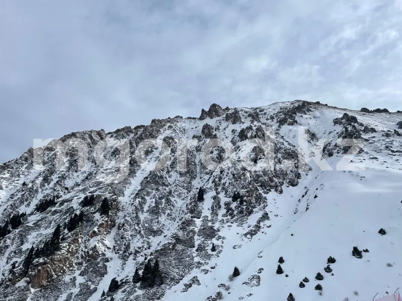 Повредила ногу: иностранке помогли спасатели в горах Алматы