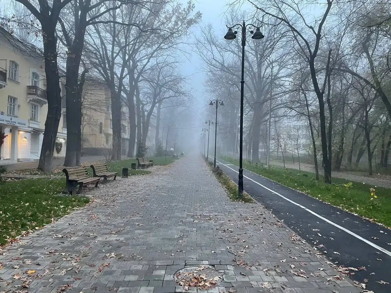 Туман ожидается в ЗКО