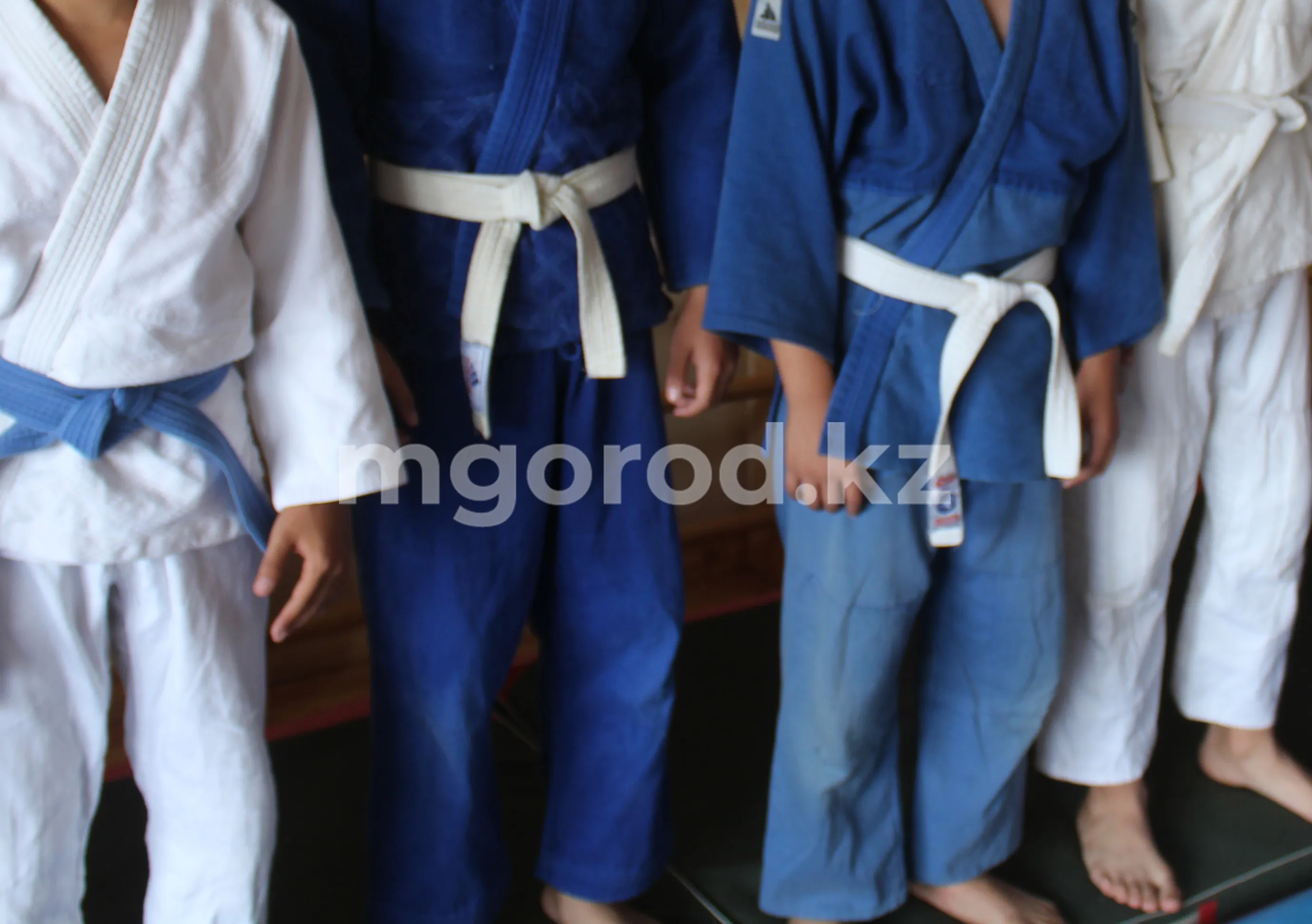 20 видов спорта представлены в ДЮСШ Бурлинского района