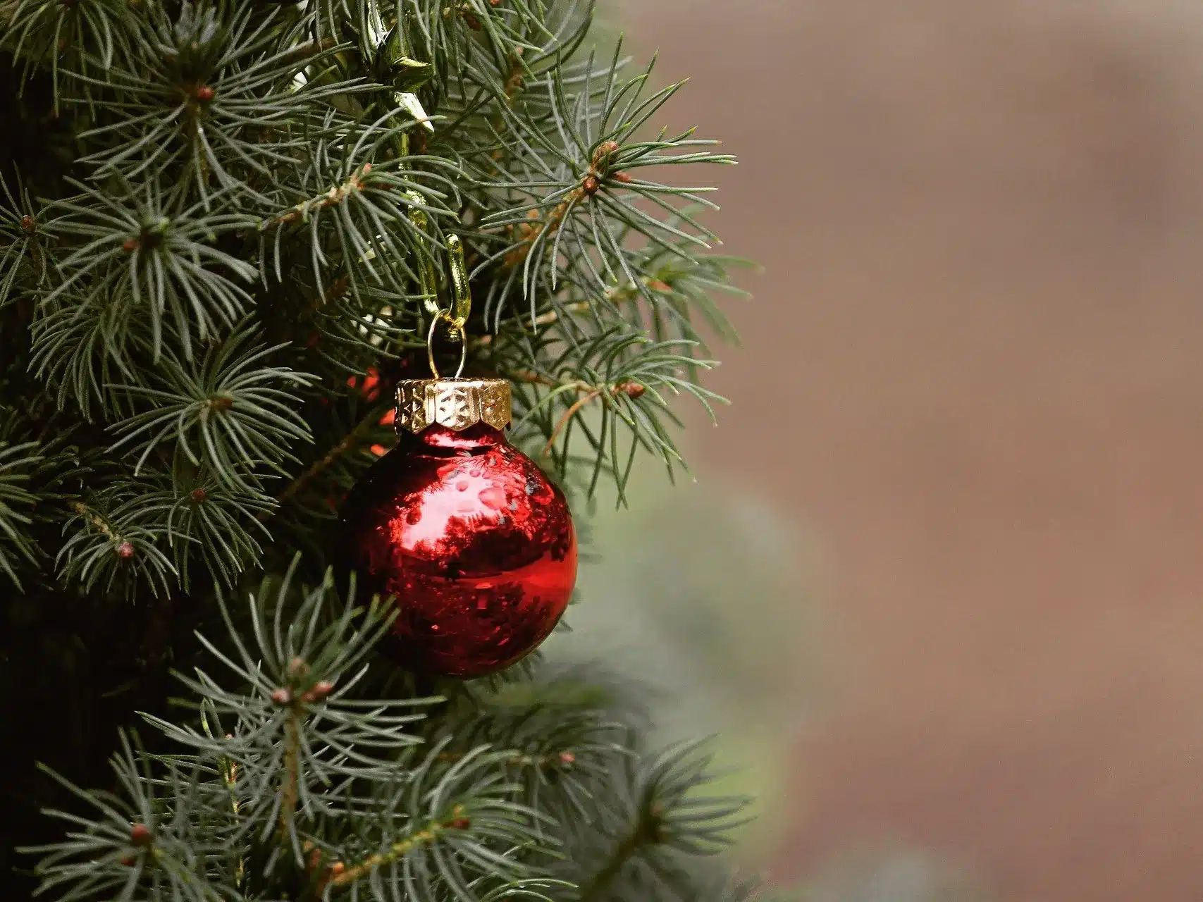 Пять 18-метровых ёлок установят в Атырау