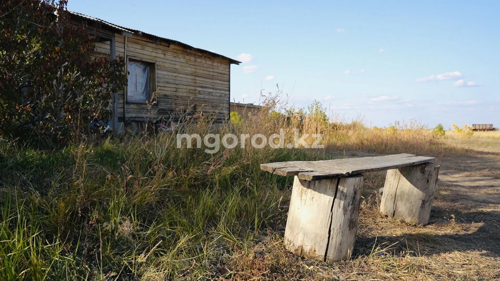 «Все мы разные» — во что верят и как живут экопоселенцы «Ведрух» недалеко от Уральска