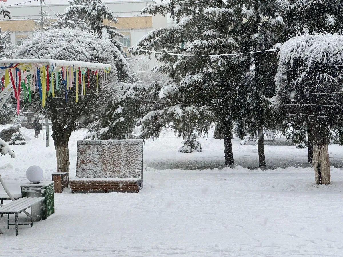 Погода на 29 декабря в Уральске