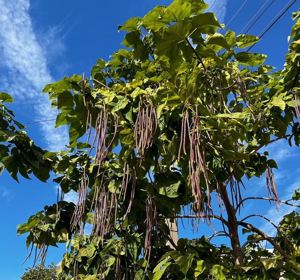 Какая погода ожидает жителей Западного Казахстана 5 мая