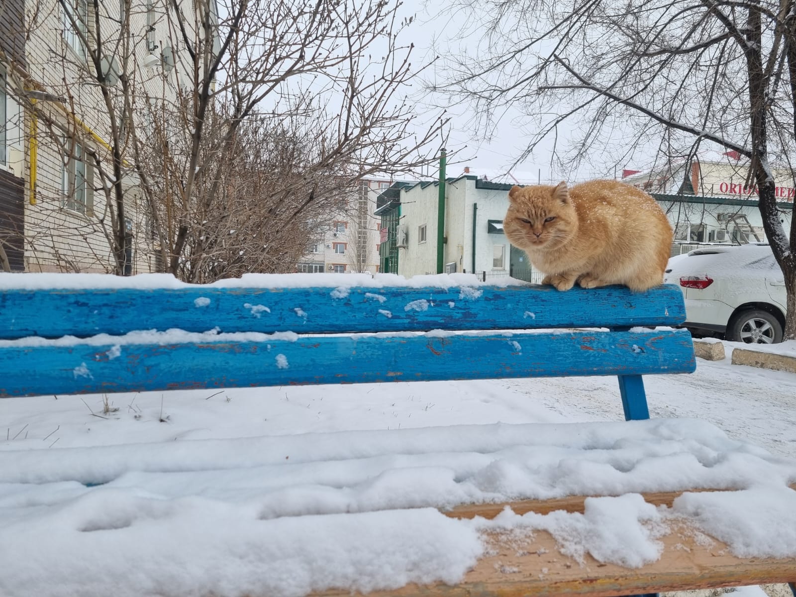 Снег ожидается в ЗКО 7 января