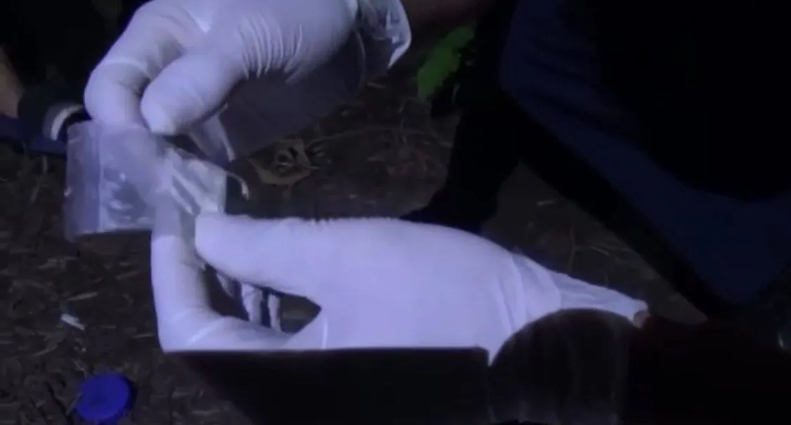 На 3,5 года лишили свободы жителя Уральска за грамм «синтетики»