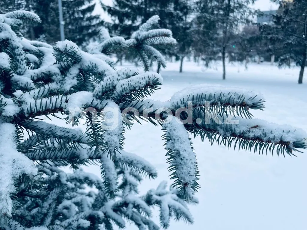 Погода на 26 января