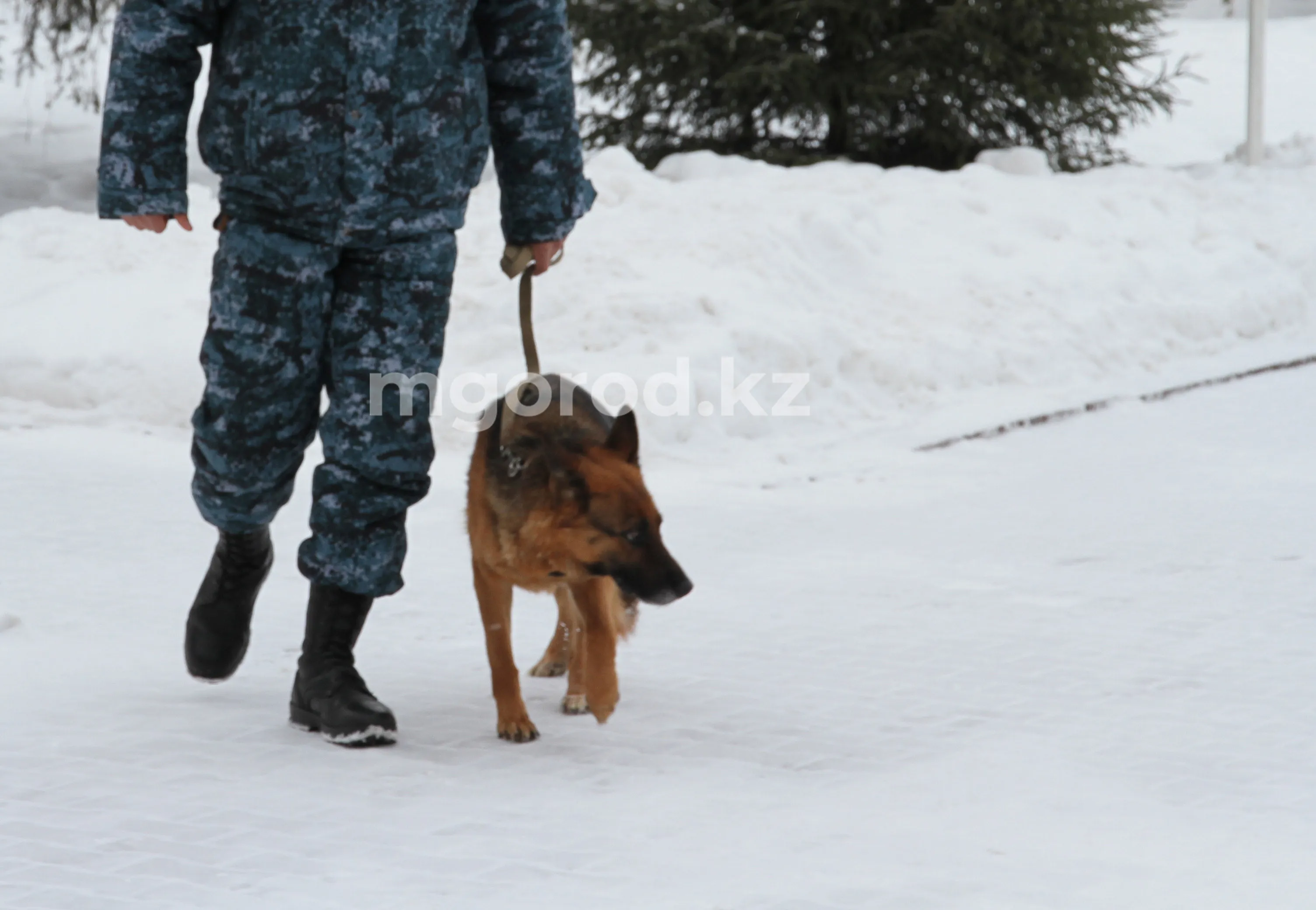 За год в ЗКО пропали 49 человек