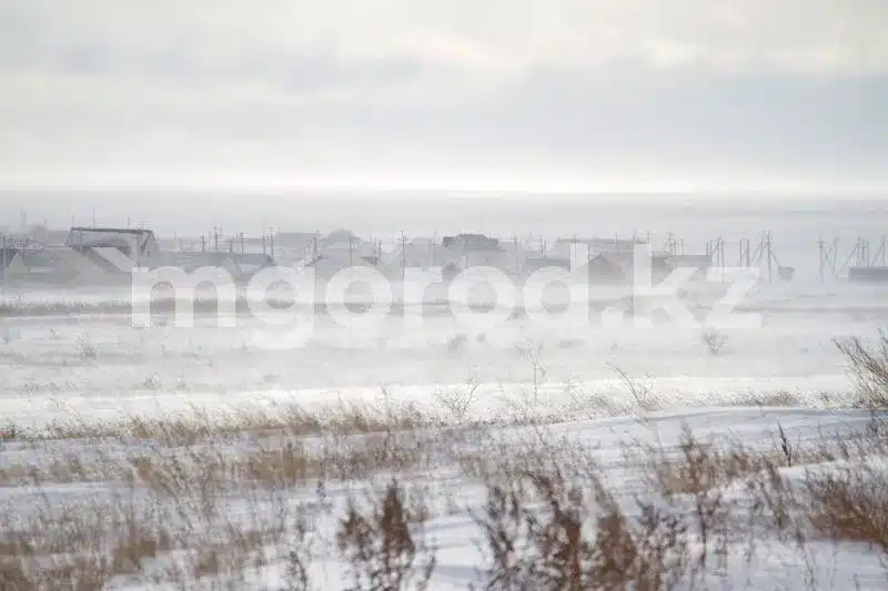 Низовая метель ожидается в ЗКО 3 февраля