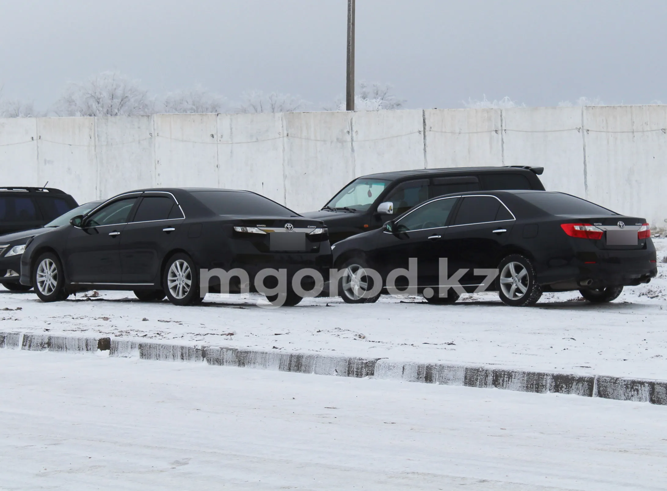 Более 24 тысяч автомобилей импортировали через Мангистаускую область