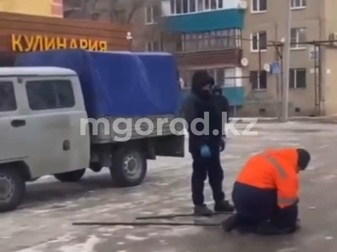 Во время отлова собак сотруднику ветстанции в Уральске разбили голову бутылкой