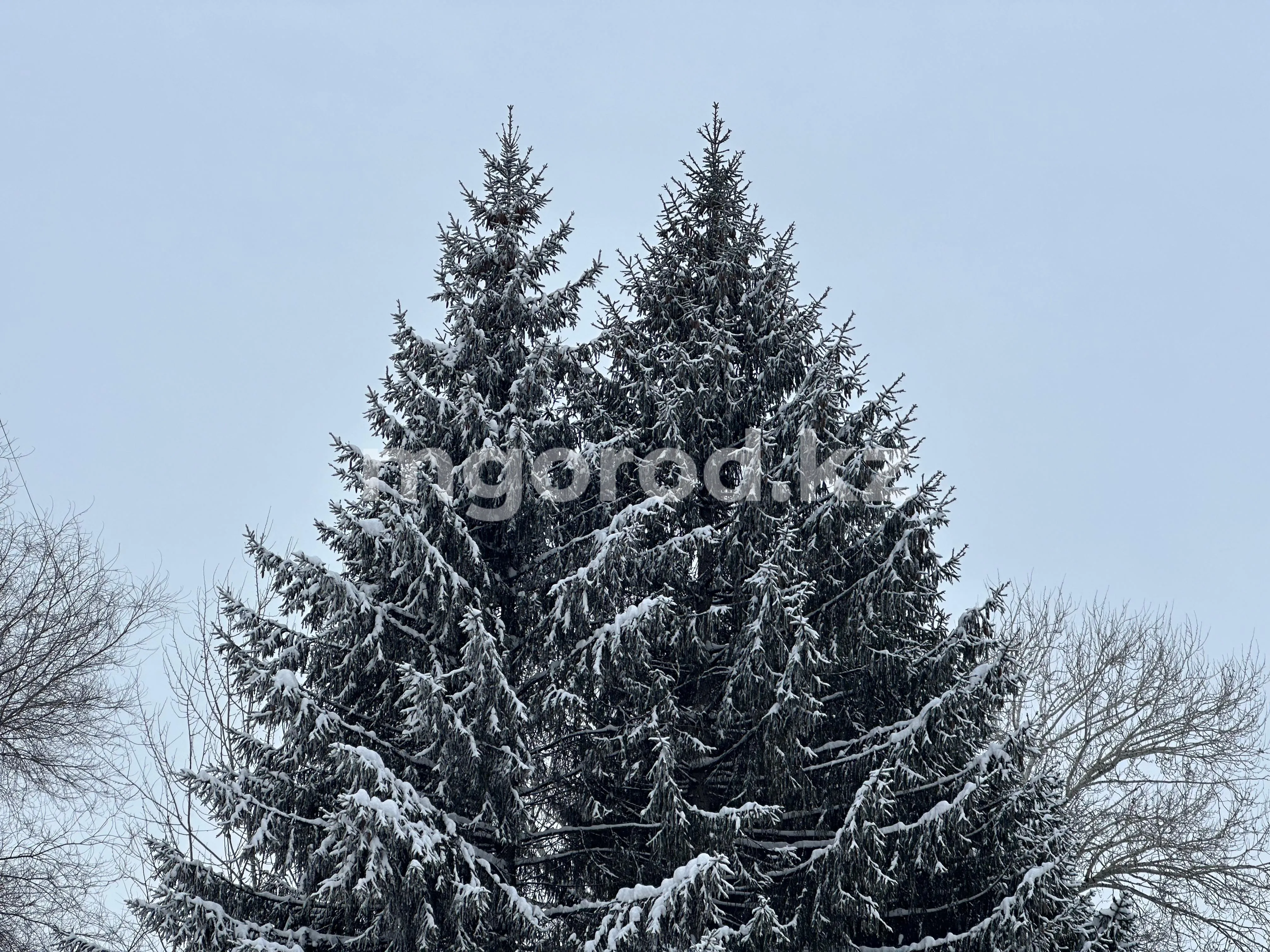 Туман и ветер ожидаются в ЗКО 3 марта