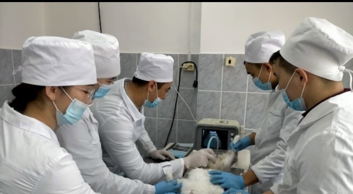 Выбор профессии – выбор жизненного пути