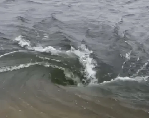 В Кобдинском районе Актюбинской области объявили режим ЧС