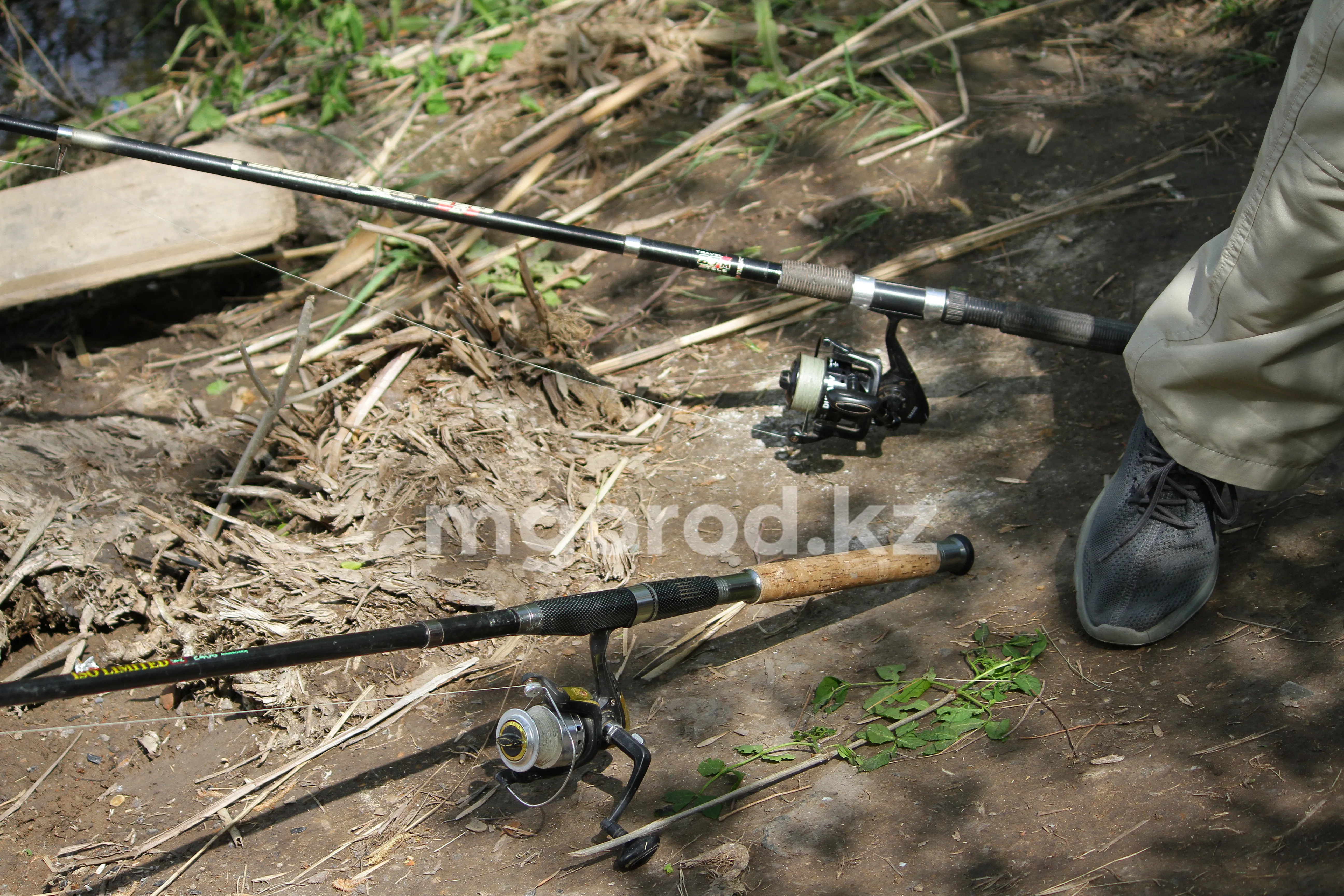 В ЗКО введут запрет на ловлю рыбы