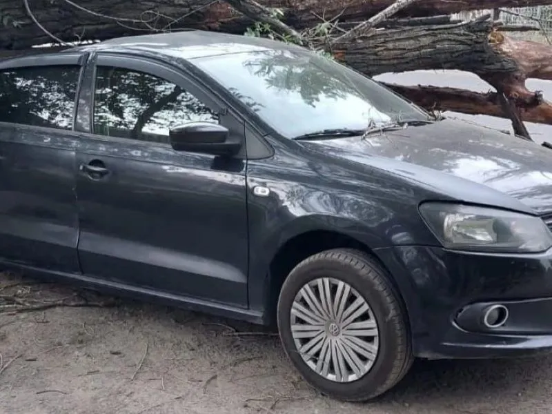 Дерево упало на автомобиль: ущерб выплатит ЖКХ Уральска