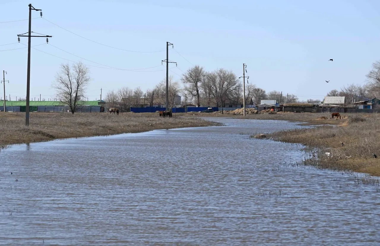 Небольшой дождь и туман прогнозируют синоптики в ЗКО