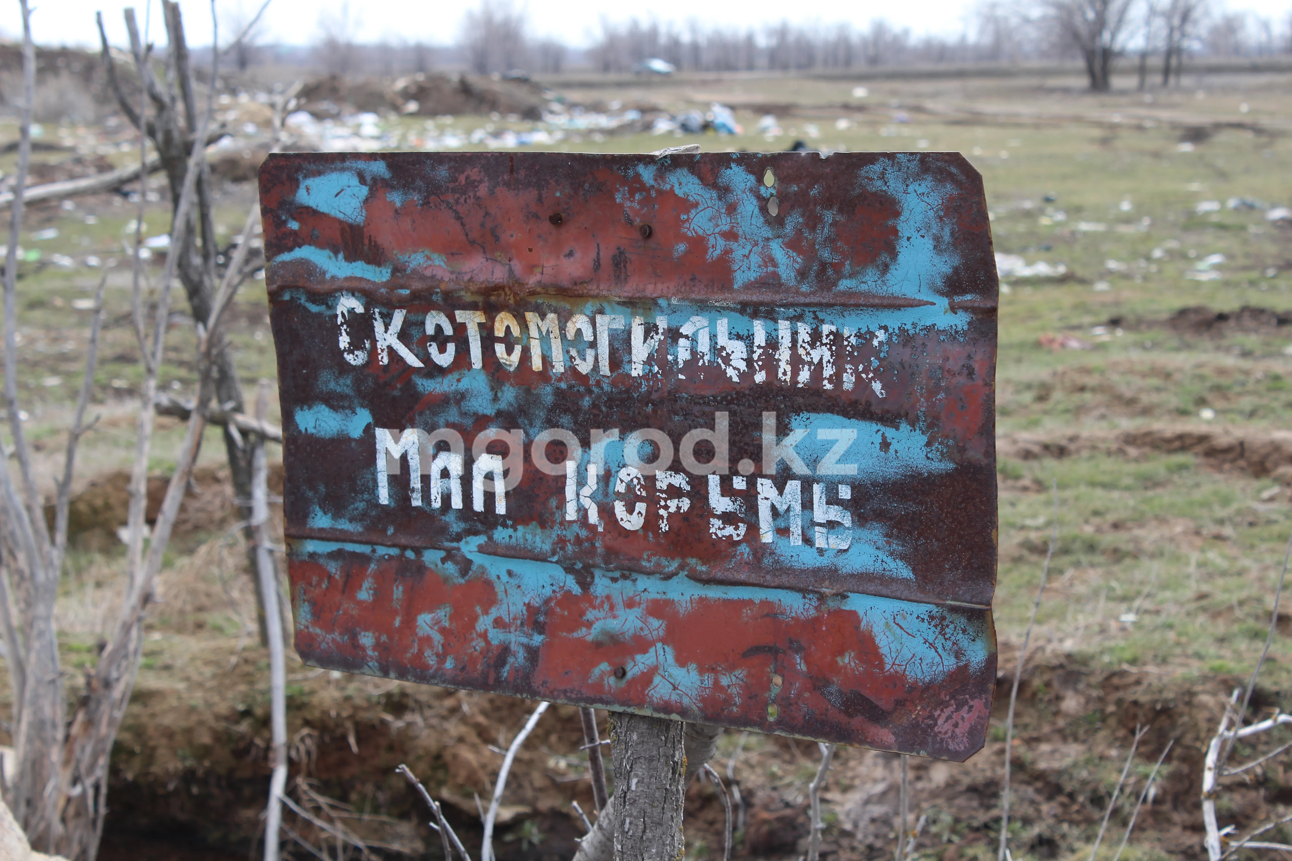 14 скотомогильников с сибирской язвой вскрылись во время паводков в ЗКО