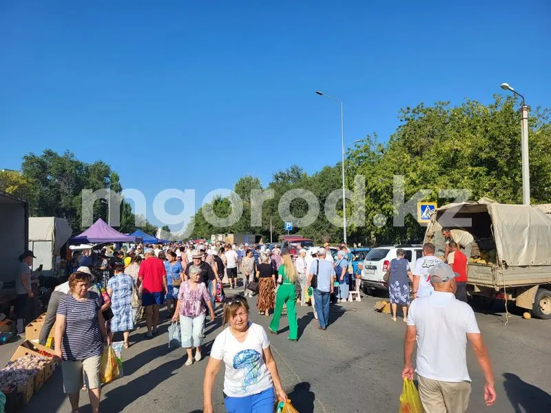 Какая погода ожидается жителей западного Казахстана в выходные