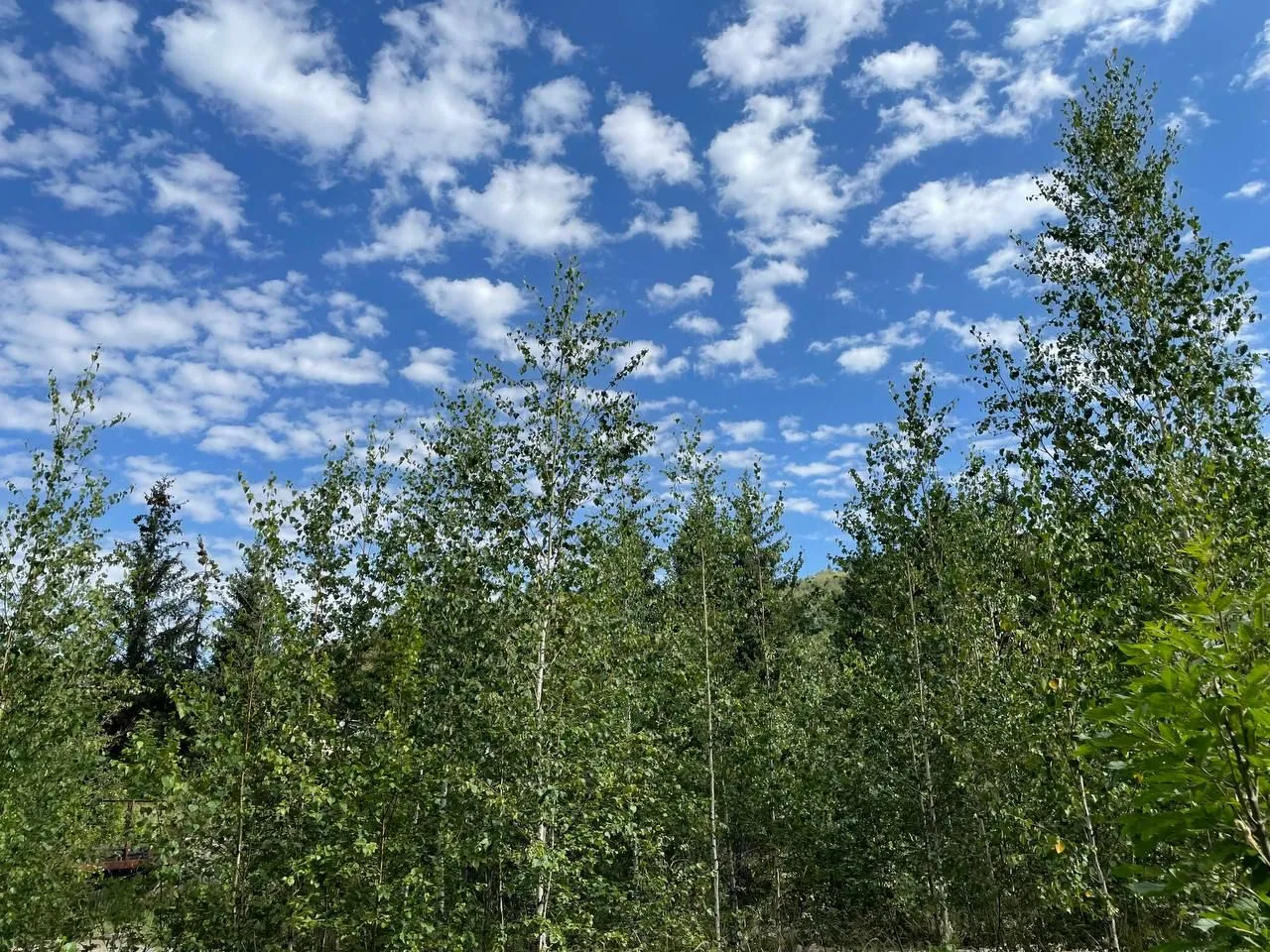 Погода в ЗКО на 26 апреля