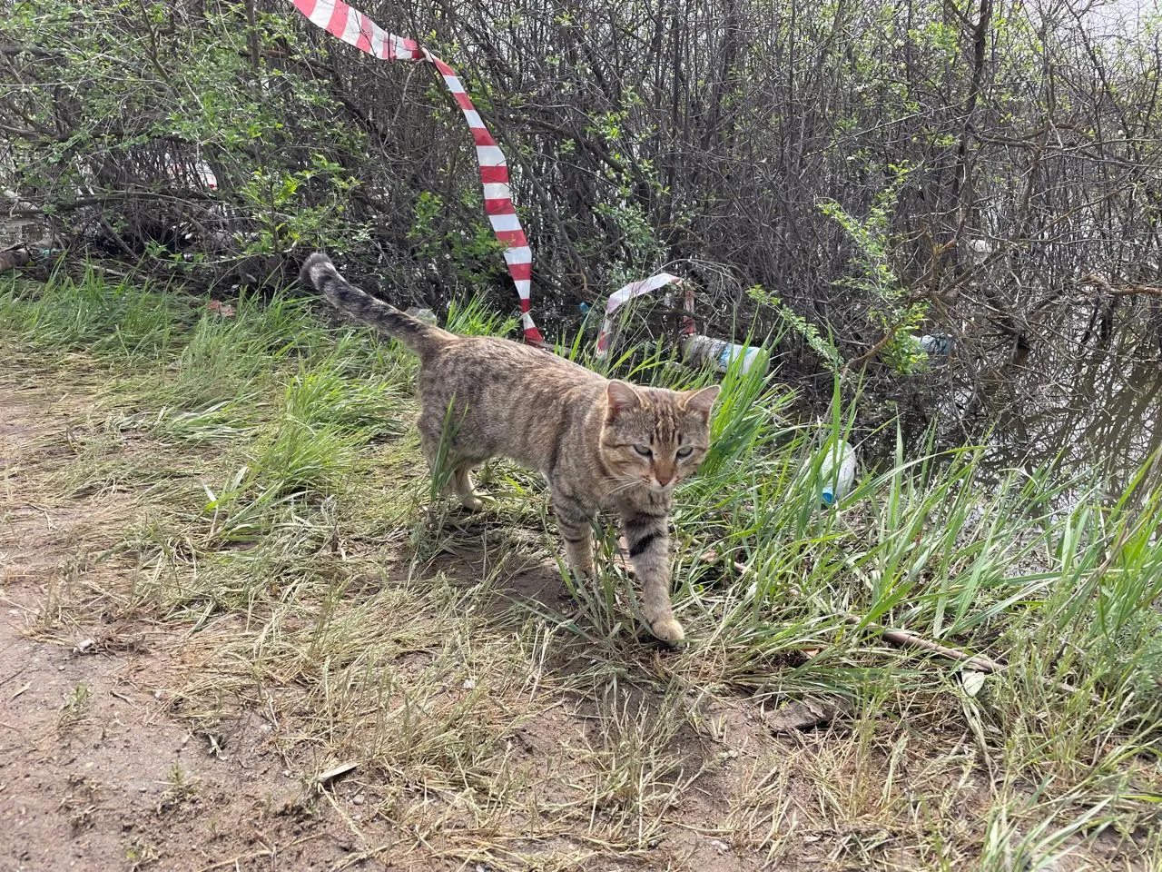 В ЗКО объявлено штормовое предупреждение