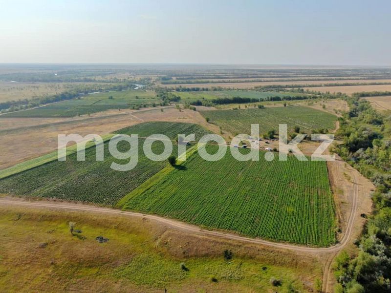 В ЗКО пять тысяч гектаров прошлогоднего посева в плохом состоянии