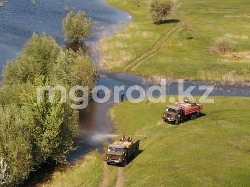 Финансирование на травлю гнуса в Уральске могут увеличить