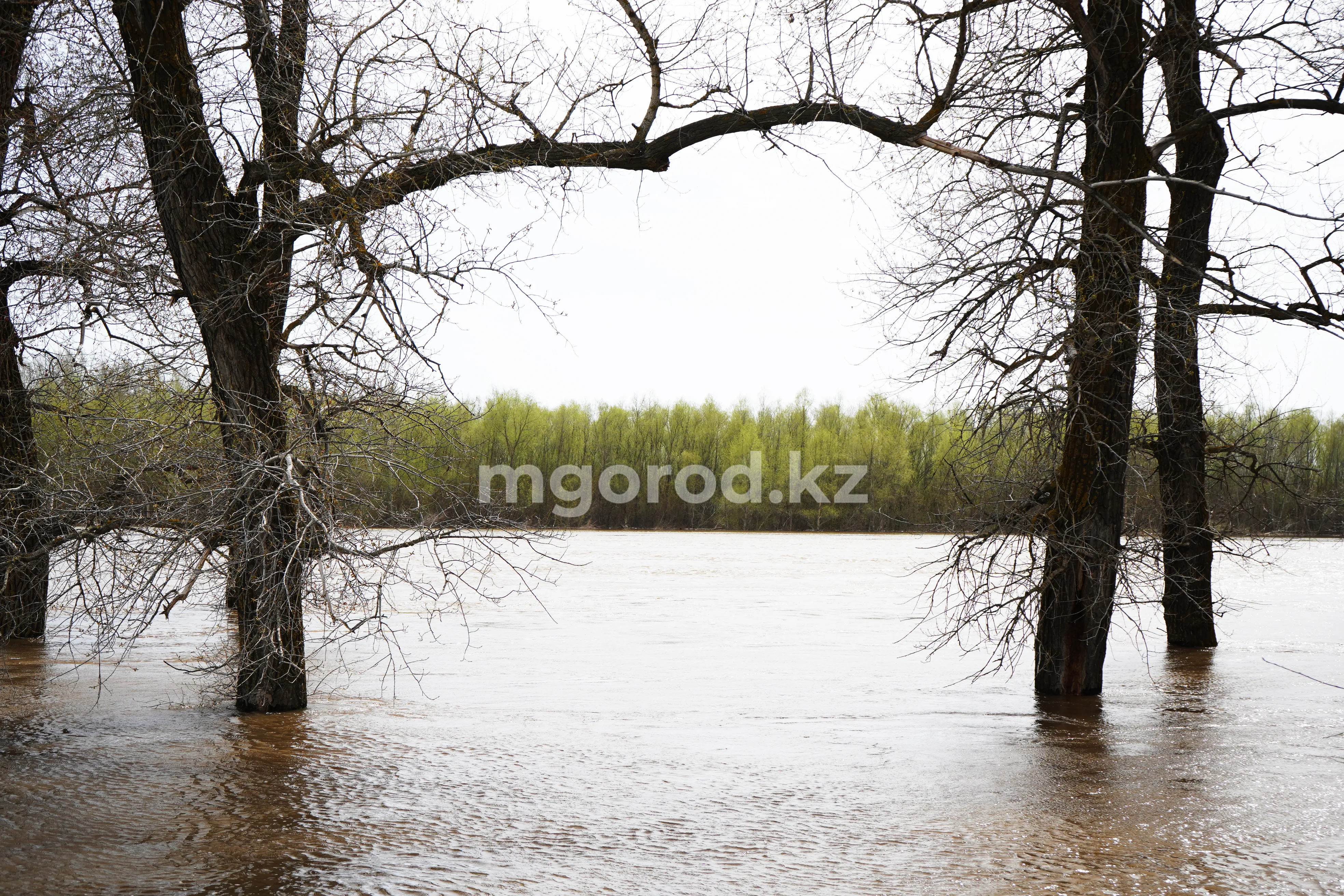Погода в ЗКО на 21 мая