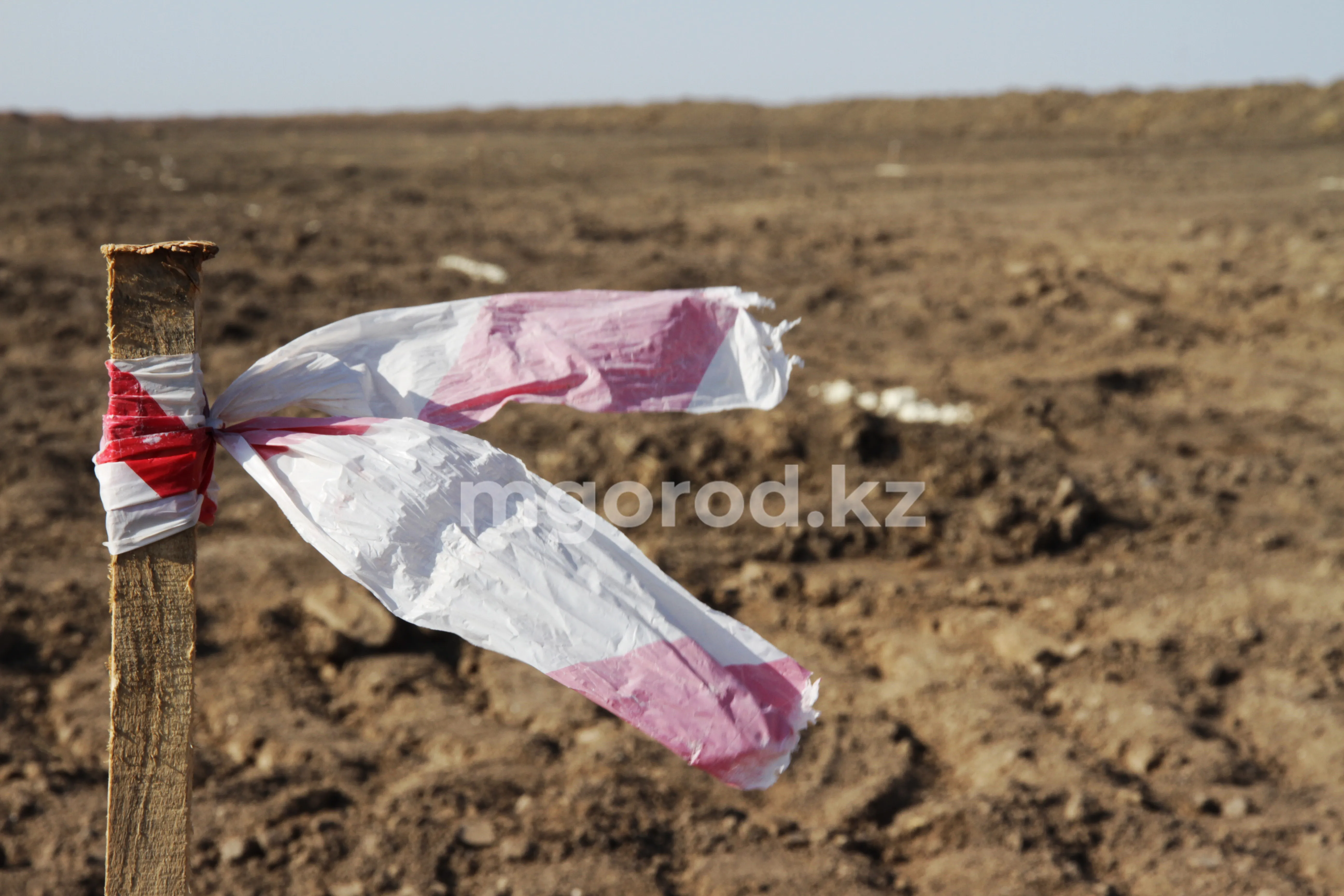 В ЗКО ожидается засуха