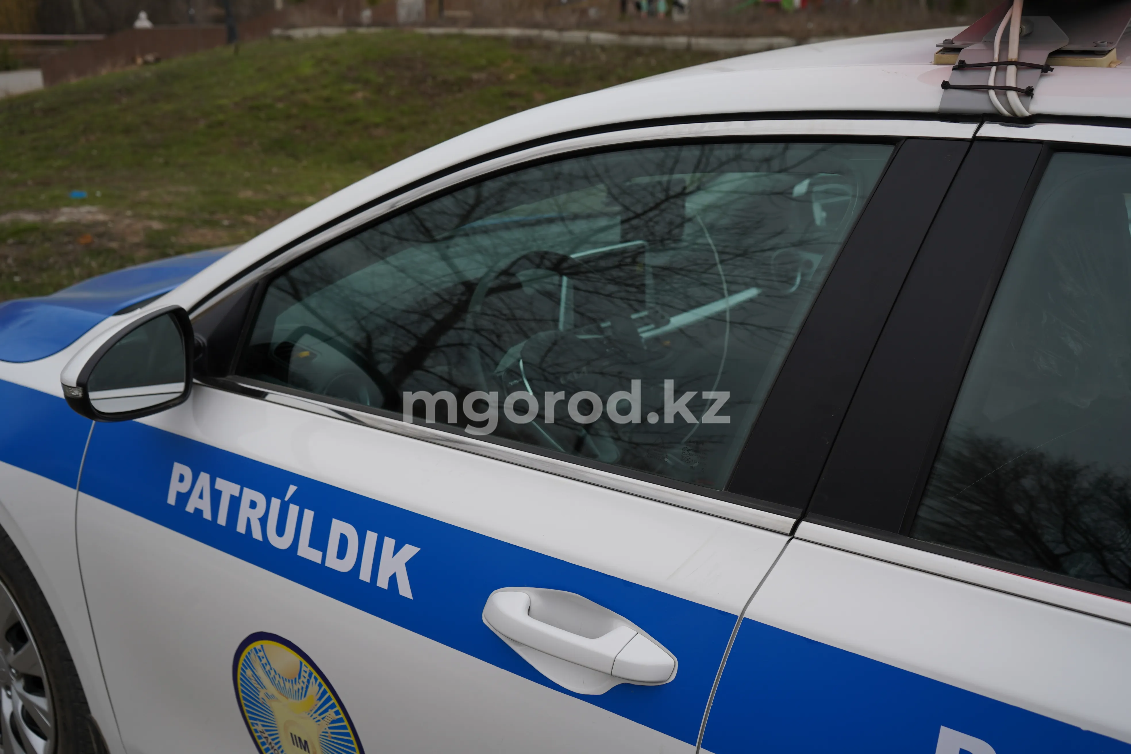 Пьяный пассажир Lexus напал на полицейских в Уральске