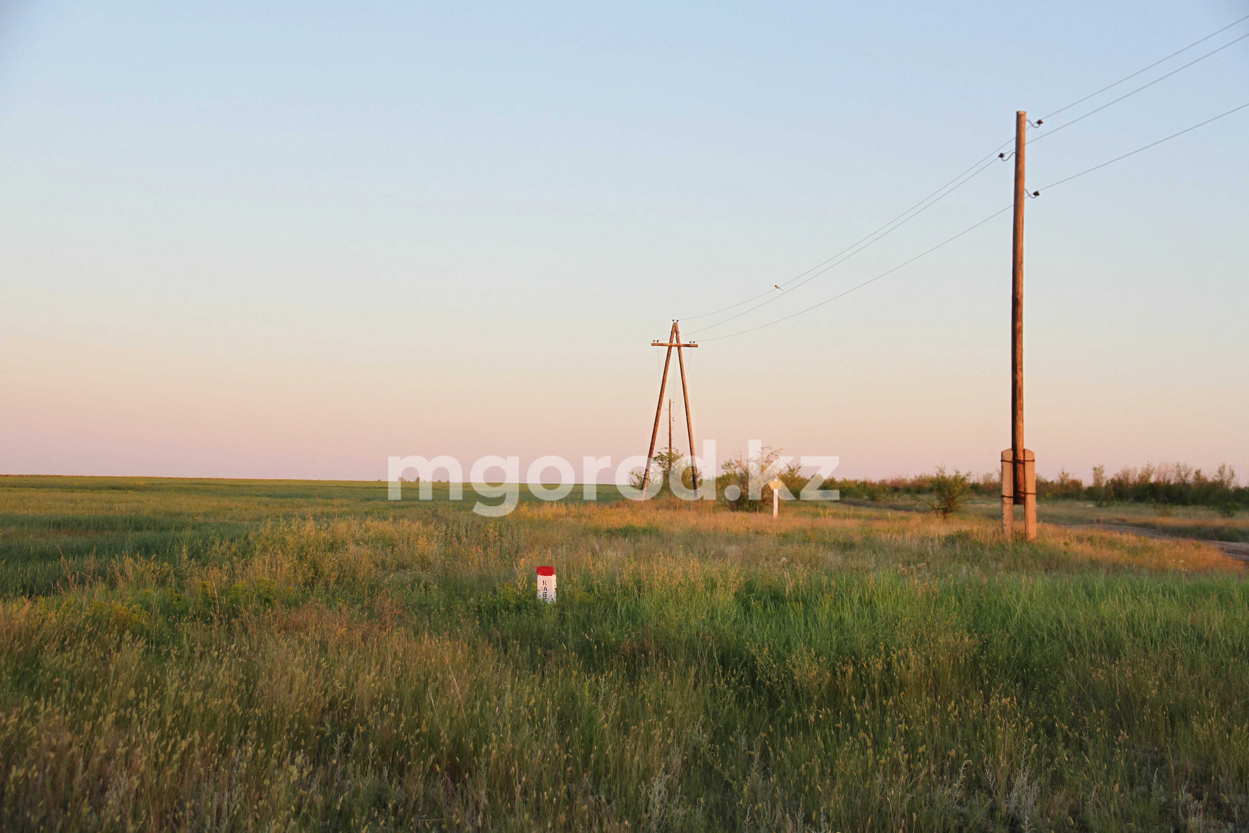 В ЗКО земли на 45 млн тенге вернули государству