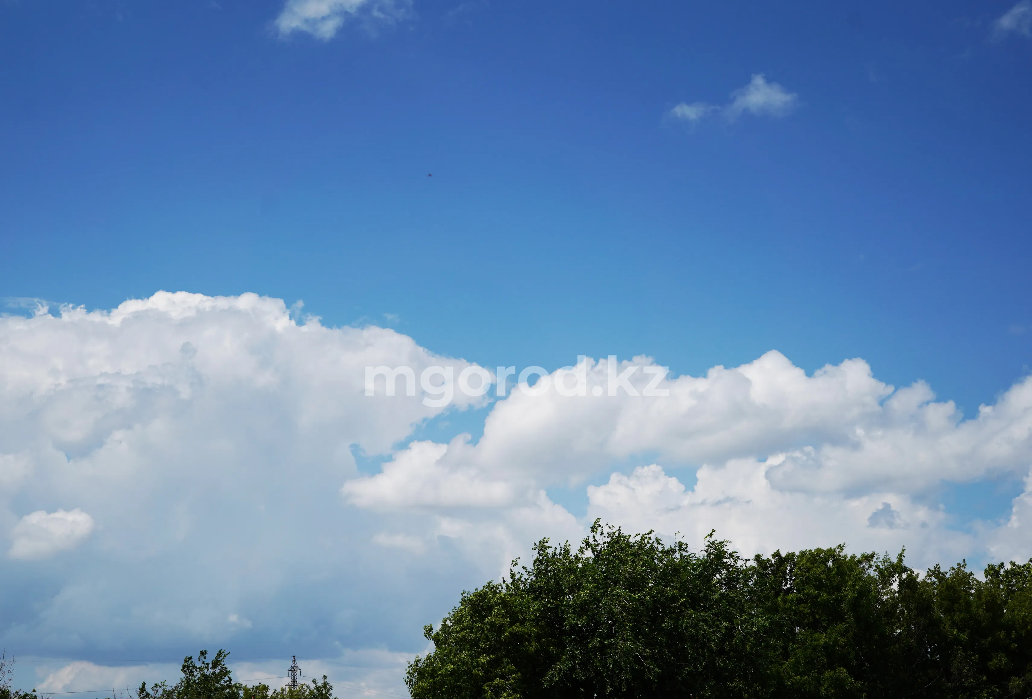 Какая погода ожидается на Западе Казахстана 14 июня