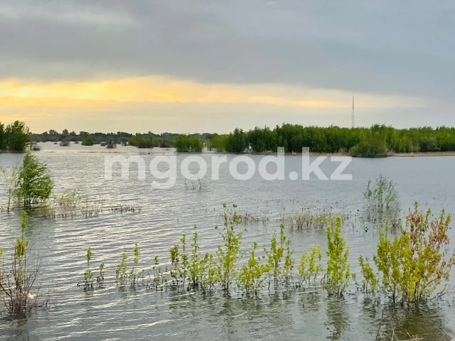 Штормовое предупреждение объявлено на западе Казахстана 19 июня