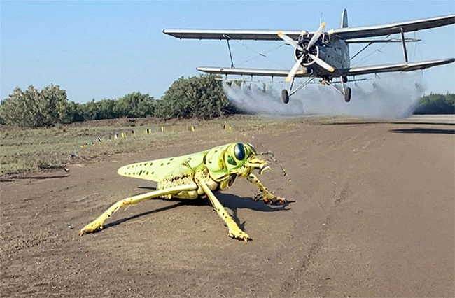 В Актюбинской области при химобработке полей погиб пилот дельтаплана