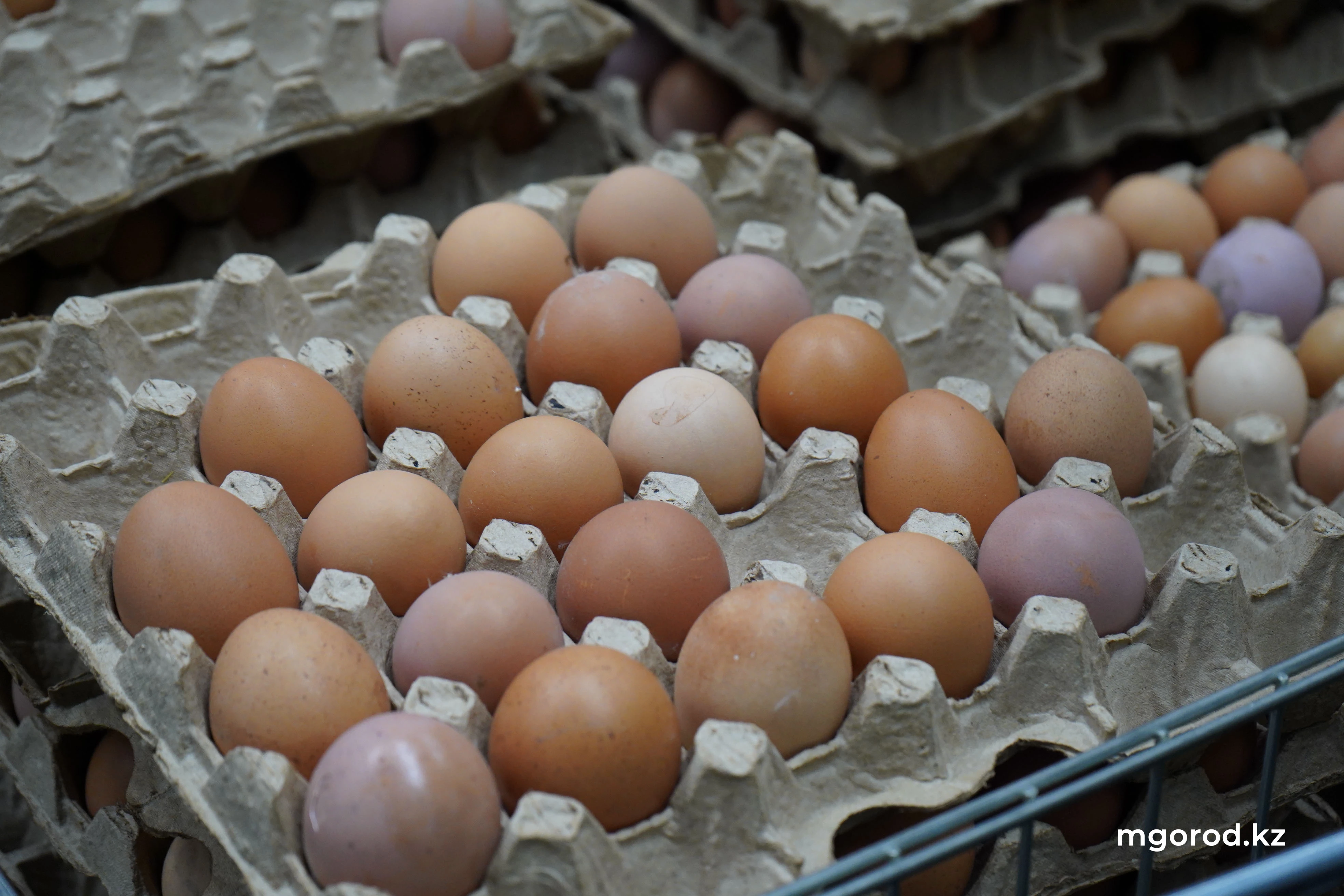 Производство яиц в Казахстане сократилось на 10%