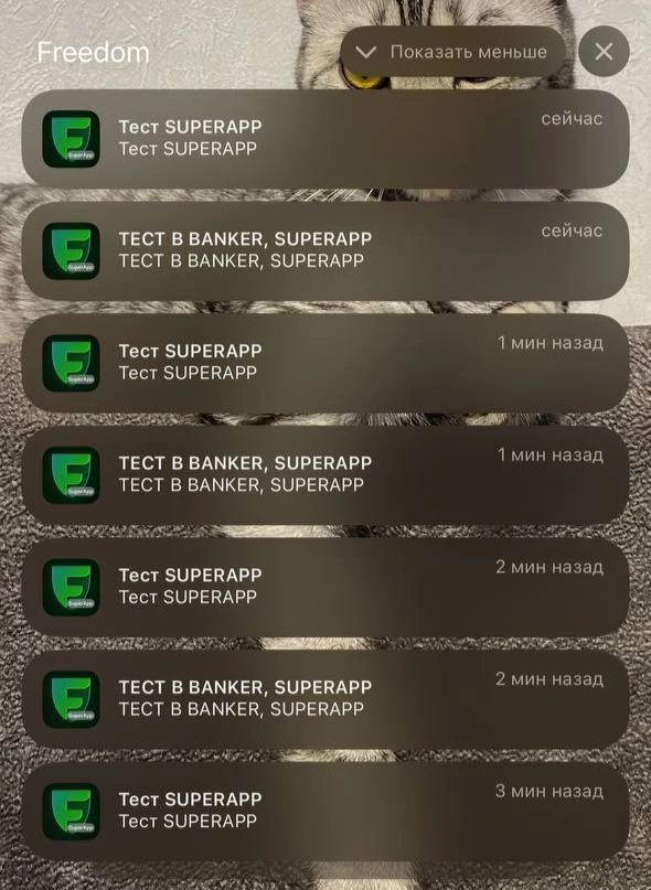 Банковское приложение Freedom сломалось