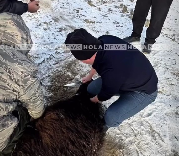 Полицейские Атырауской области устроили жертвоприношение для безопасности на дорогах