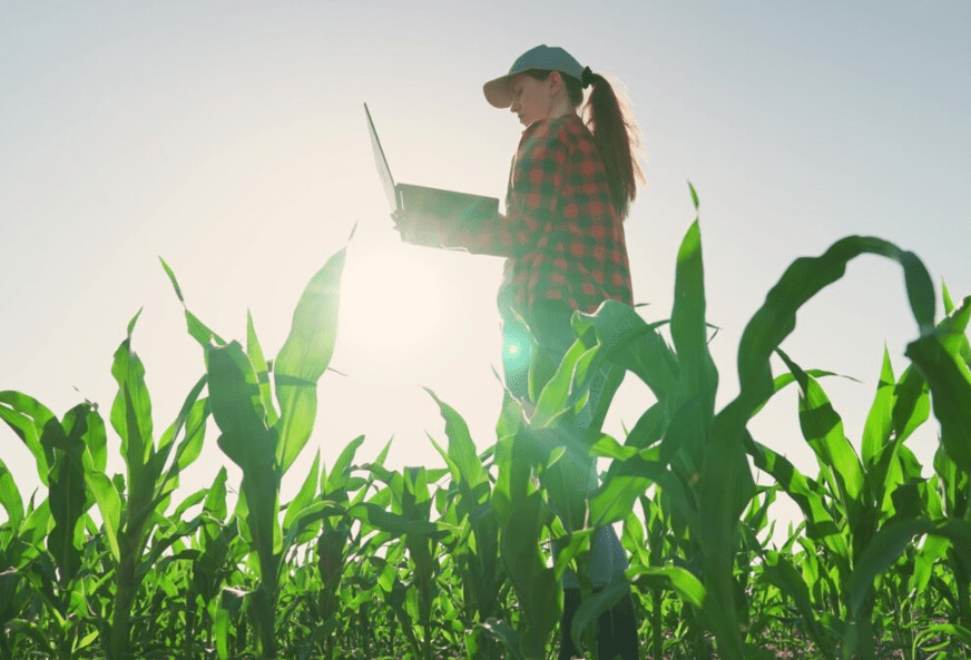 Каждое четвёртое агропредприятие в РК возглавляет женщина