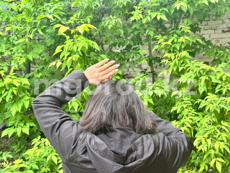 82 миллиона тенге выделили на травлю гнуса в ЗКО