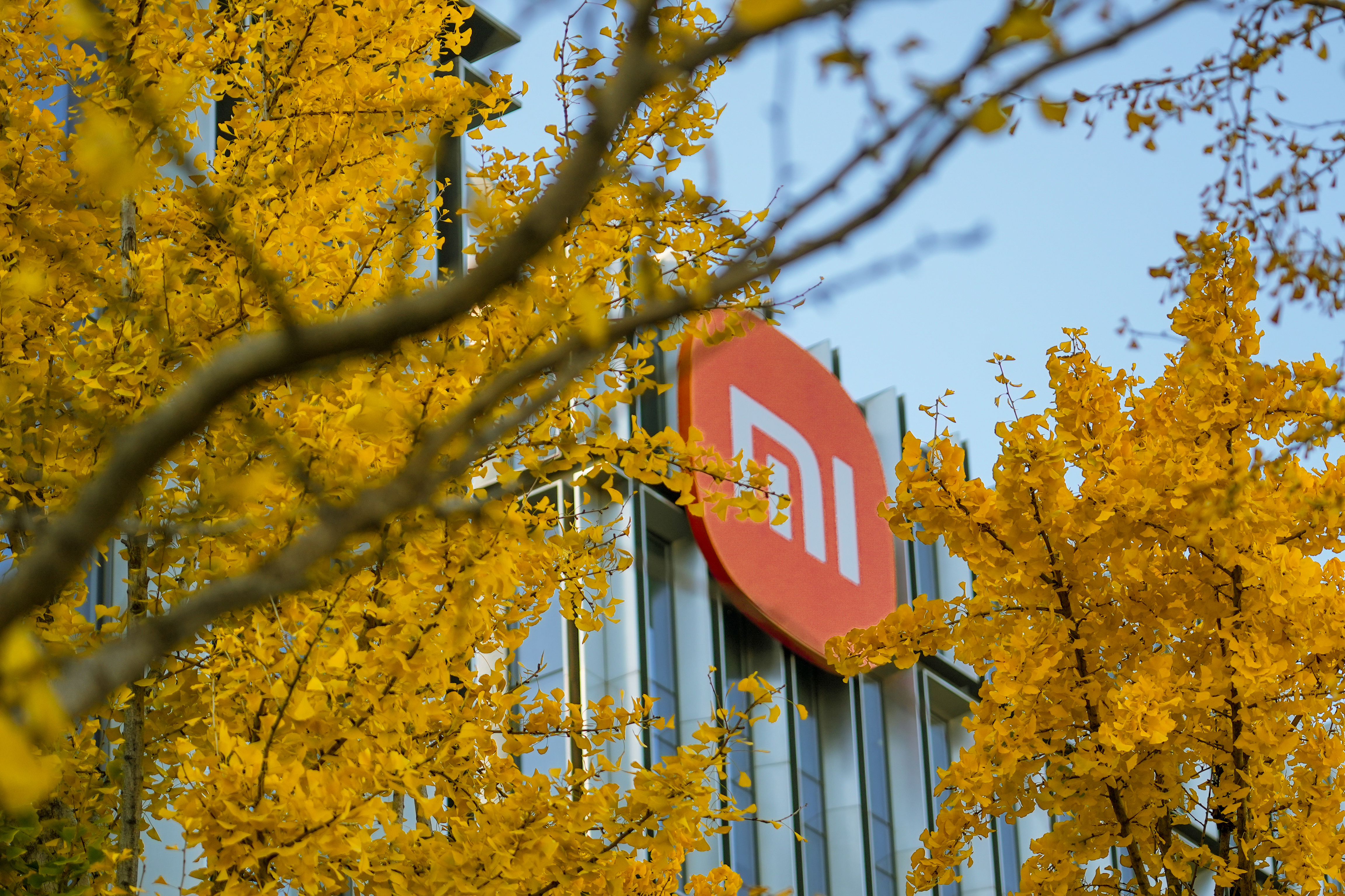 Выручка Xiaomi за 3 квартал 2024 года превысила рыночные прогнозы и составила 92,5 миллиарда юаней